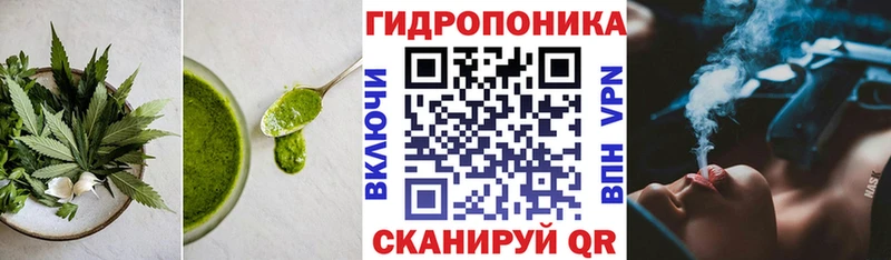 хочу   Славск  kraken как зайти  Canna-Cookies марихуана 