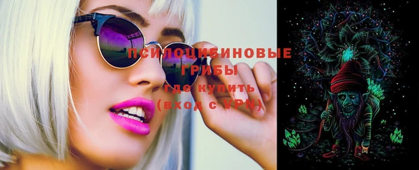 ECSTASY Алзамай