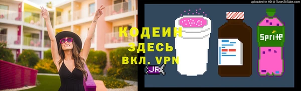ECSTASY Алзамай
