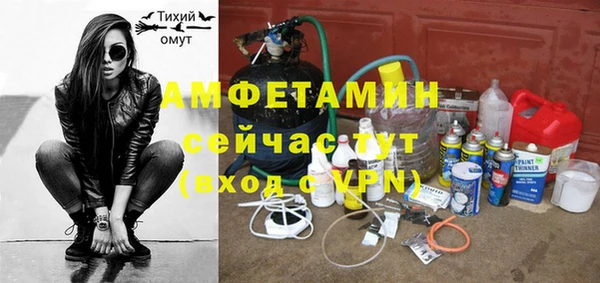 стаф Алексин