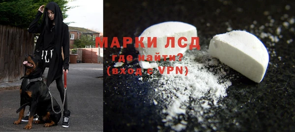 стаф Алексин