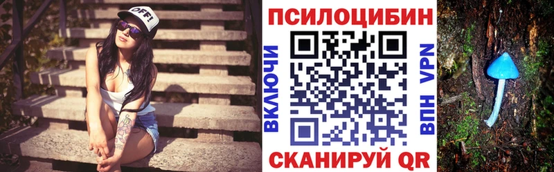 даркнет клад  Славск  Галлюциногенные грибы мицелий 